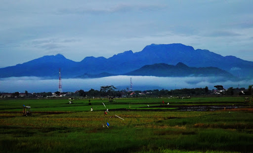 Menikmati Panorama Kota Kediri dari Puncak Gunung Wilis